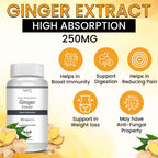Vokin Biotech Ginger Extract 5% Gingerols Natural Digestion Supplement - Improve Gastrointestinal Health Veg Capsules