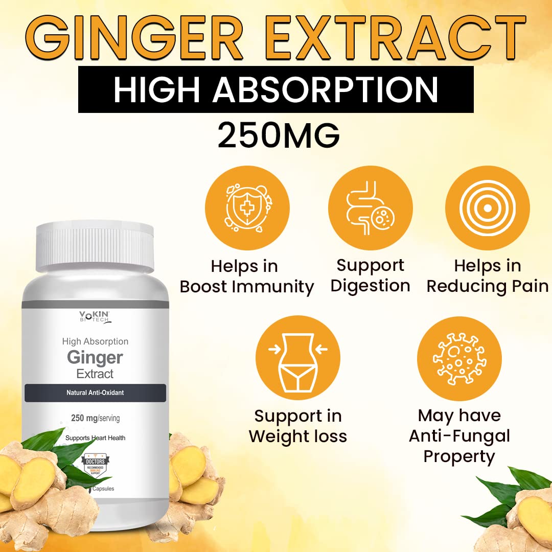 Vokin Biotech Ginger Extract 5% Gingerols Natural Digestion Supplement - Improve Gastrointestinal Health Veg Capsules