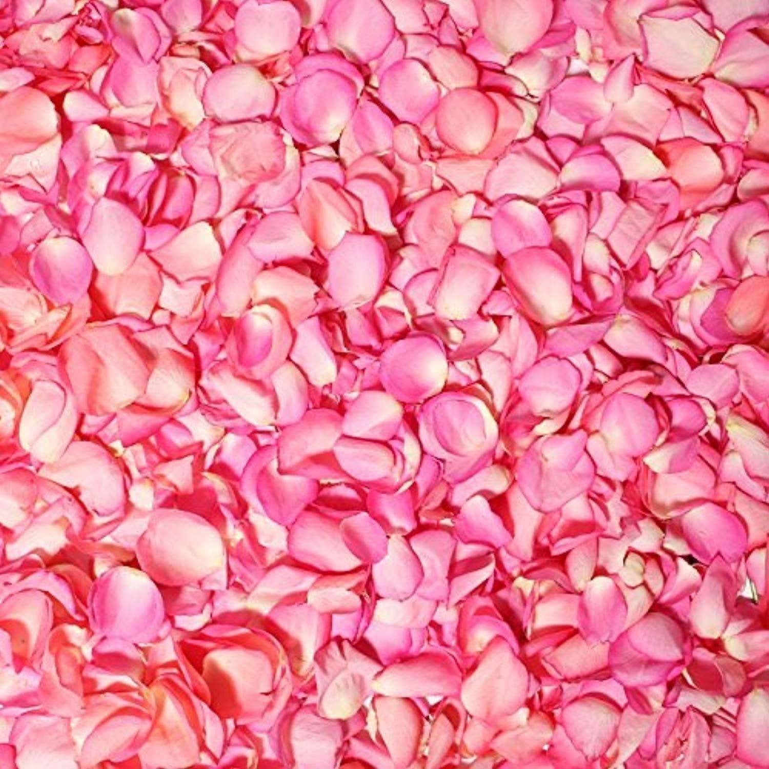 Mesmara Herbal Rose petal powder 75g - Distacart