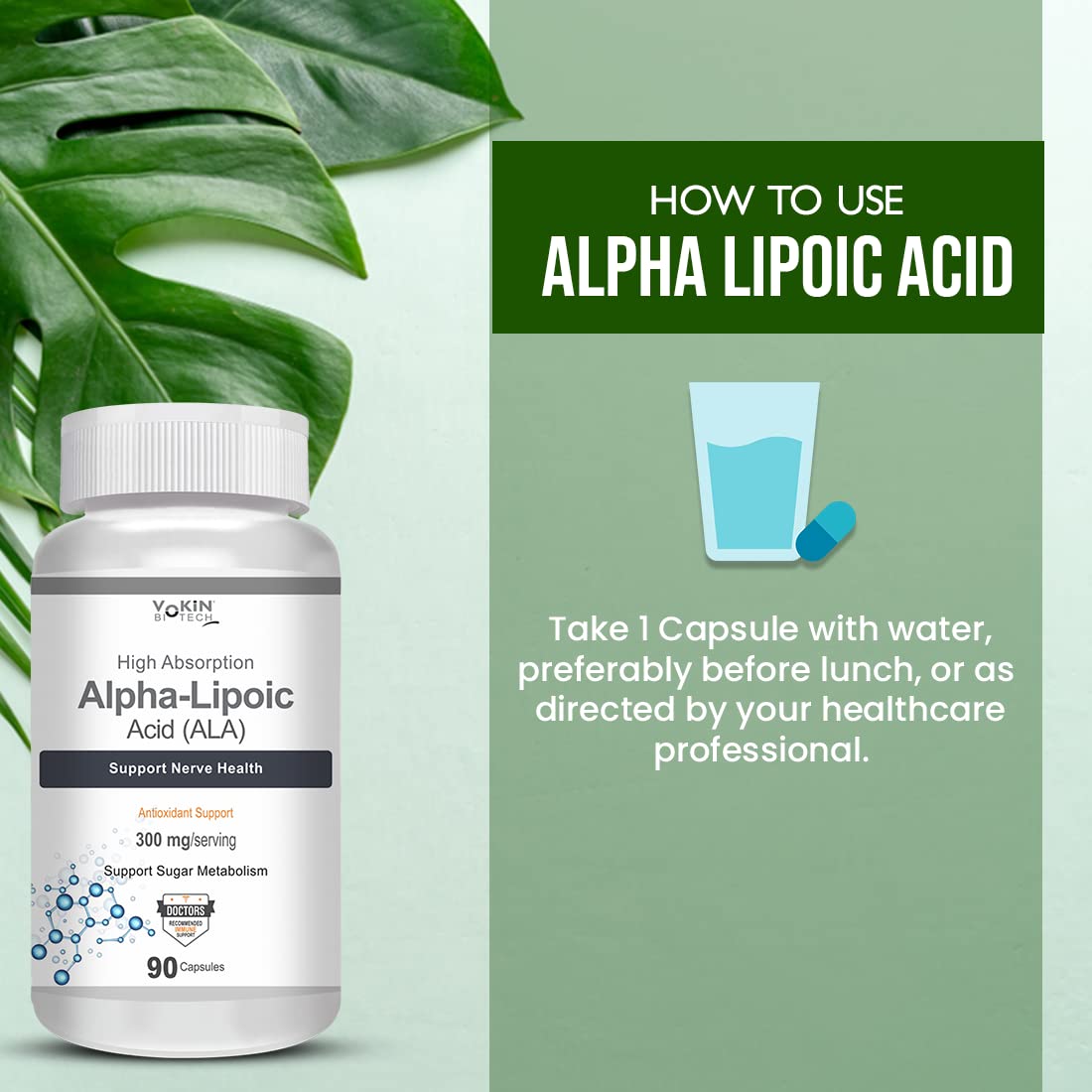 Vokin Biotech Alpha Lipoic Acid (ALA) 300 mg- Support Nerve Health & Sugar Metabolism)
