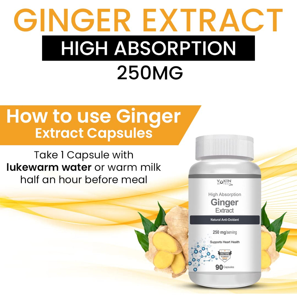 Vokin Biotech Ginger Extract 5% Gingerols Natural Digestion Supplement - Improve Gastrointestinal Health Veg Capsules