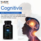 Vokin Biotech Cognitivix -Unique Brain activation Ginkgo Biloba With Ginseng extract Veg capsule