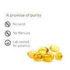 TrueBasics Ultra Omega 3 Fish Oil Capsules for Women & Men - Distacart