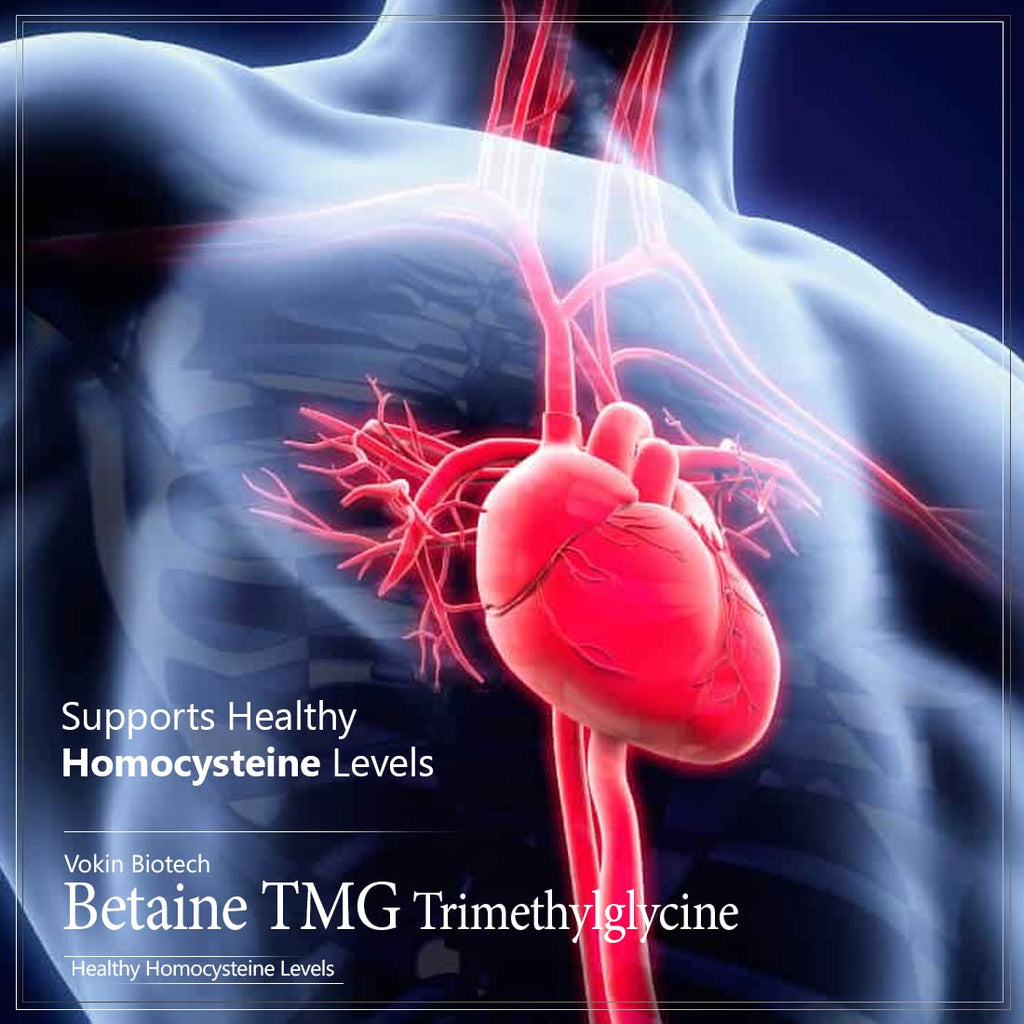 Vokin Biotech Betaine Trimethylglycine (TMG) for Support Healthy Homocysteine Levels