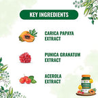 Pure Nutrition Papaya Complete Capsules - Distacart