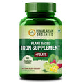 Himalayan Organics Plant Based Iron Supplement + Folate Vegetarian Capsules - Distacart