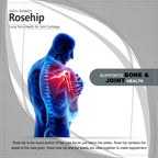 Vokin Biotech Rosehip Extract, Support Bone & Joint Health, Capsules (500mg)