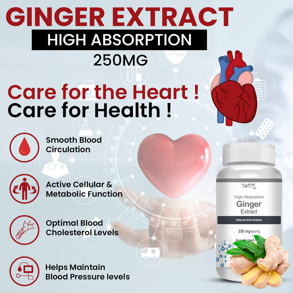 Vokin Biotech Ginger Extract 5% Gingerols Natural Digestion Supplement - Improve Gastrointestinal Health Veg Capsules