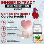 Vokin Biotech Ginger Extract 5% Gingerols Natural Digestion Supplement - Improve Gastrointestinal Health Veg Capsules