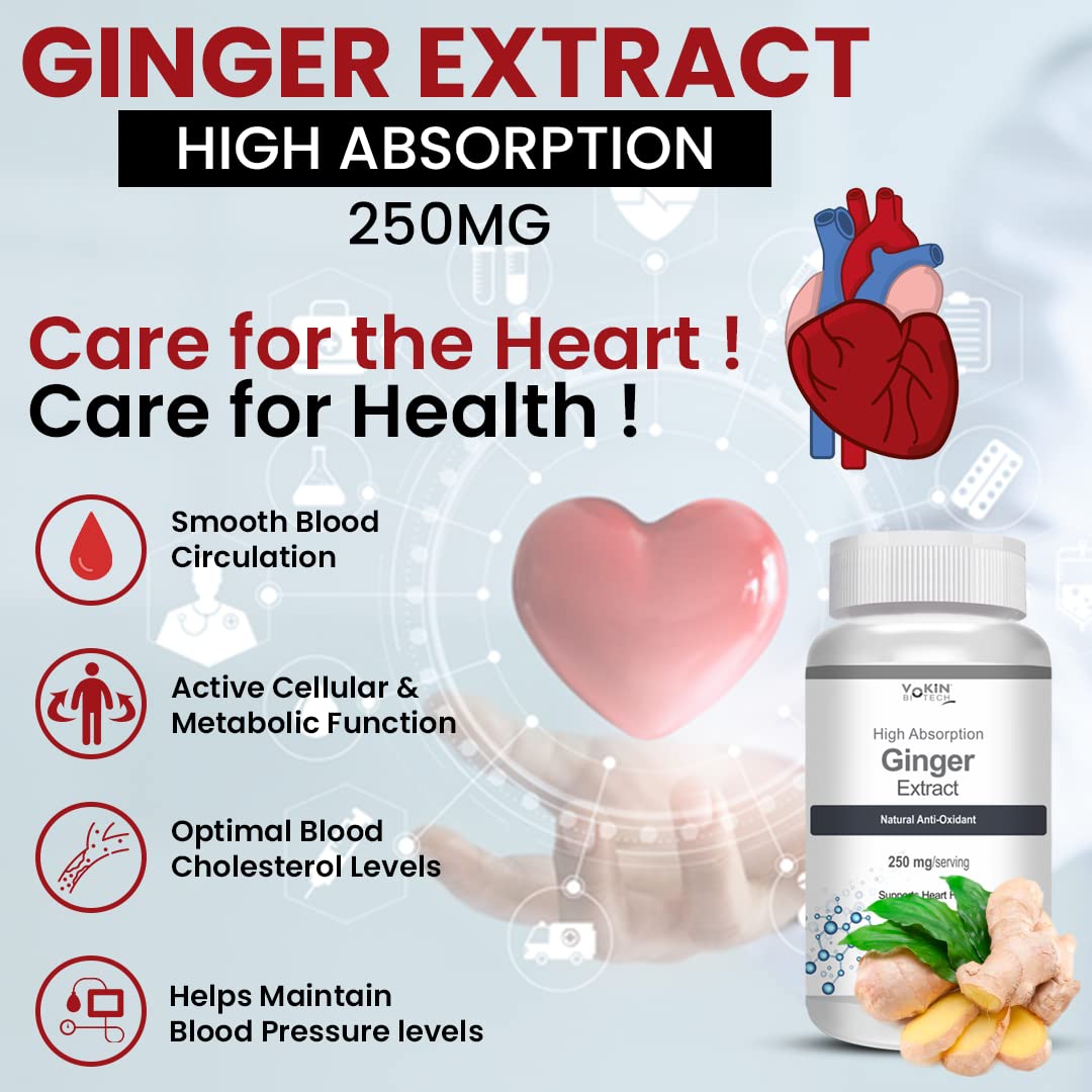 Vokin Biotech Ginger Extract 5% Gingerols Natural Digestion Supplement - Improve Gastrointestinal Health Veg Capsules