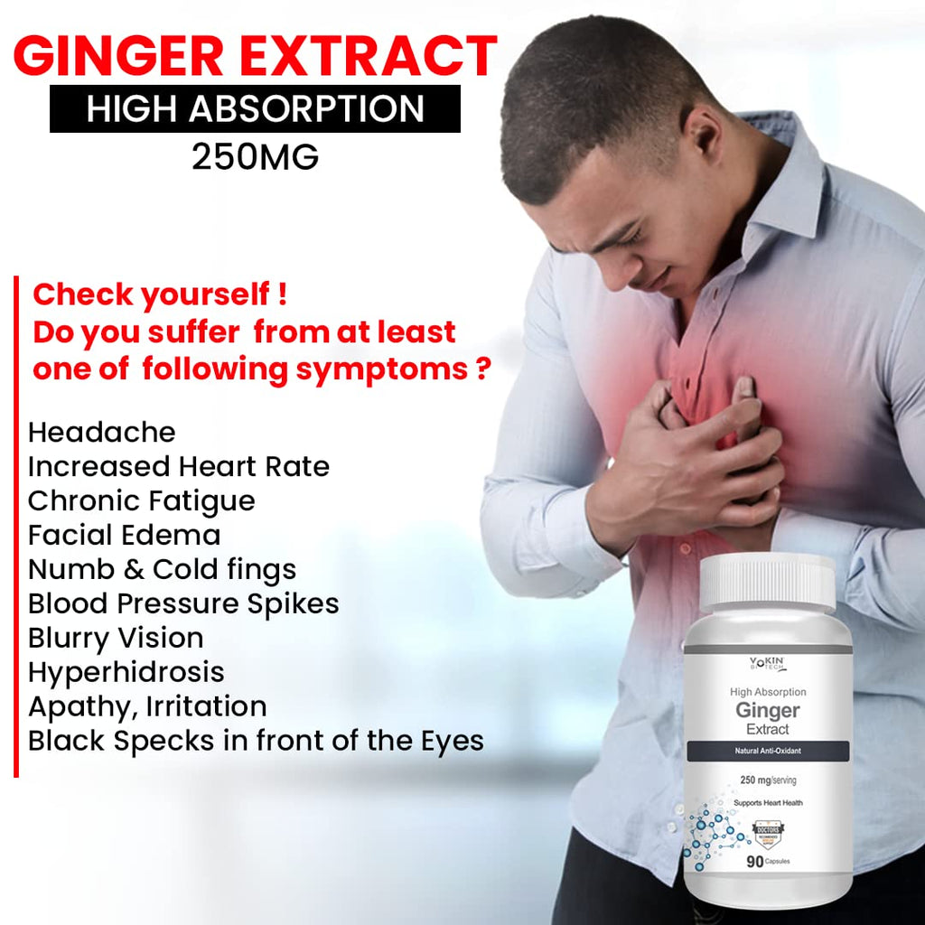 Vokin Biotech Ginger Extract 5% Gingerols Natural Digestion Supplement - Improve Gastrointestinal Health Veg Capsules