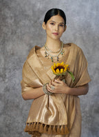 Anaita Dark Beige Cotton Silk Zari Woven Work Saree With Blouse Piece - Distacart