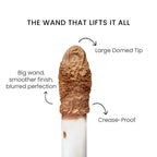 Shopaarel True Color Concealer - Golden Fair 22 N