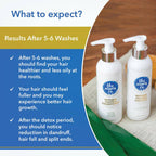 The Moms Co Natural Protein Hair Care Bundle