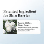 Dr.Althea 147 Barrier Cream: Rich Ceramide & hyaluronic acid infused cream for Damaged Skin Barrier