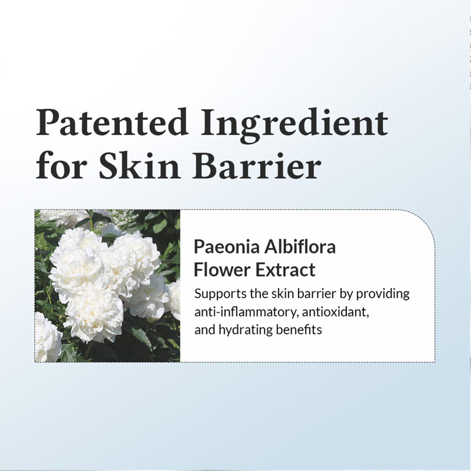 Dr.Althea 147 Barrier Cream: Rich Ceramide & hyaluronic acid infused cream for Damaged Skin Barrier