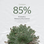 Dr.Althea Resurrection Plant Conditioning Toner: Hydrating & Skin Barrier Repair Toner