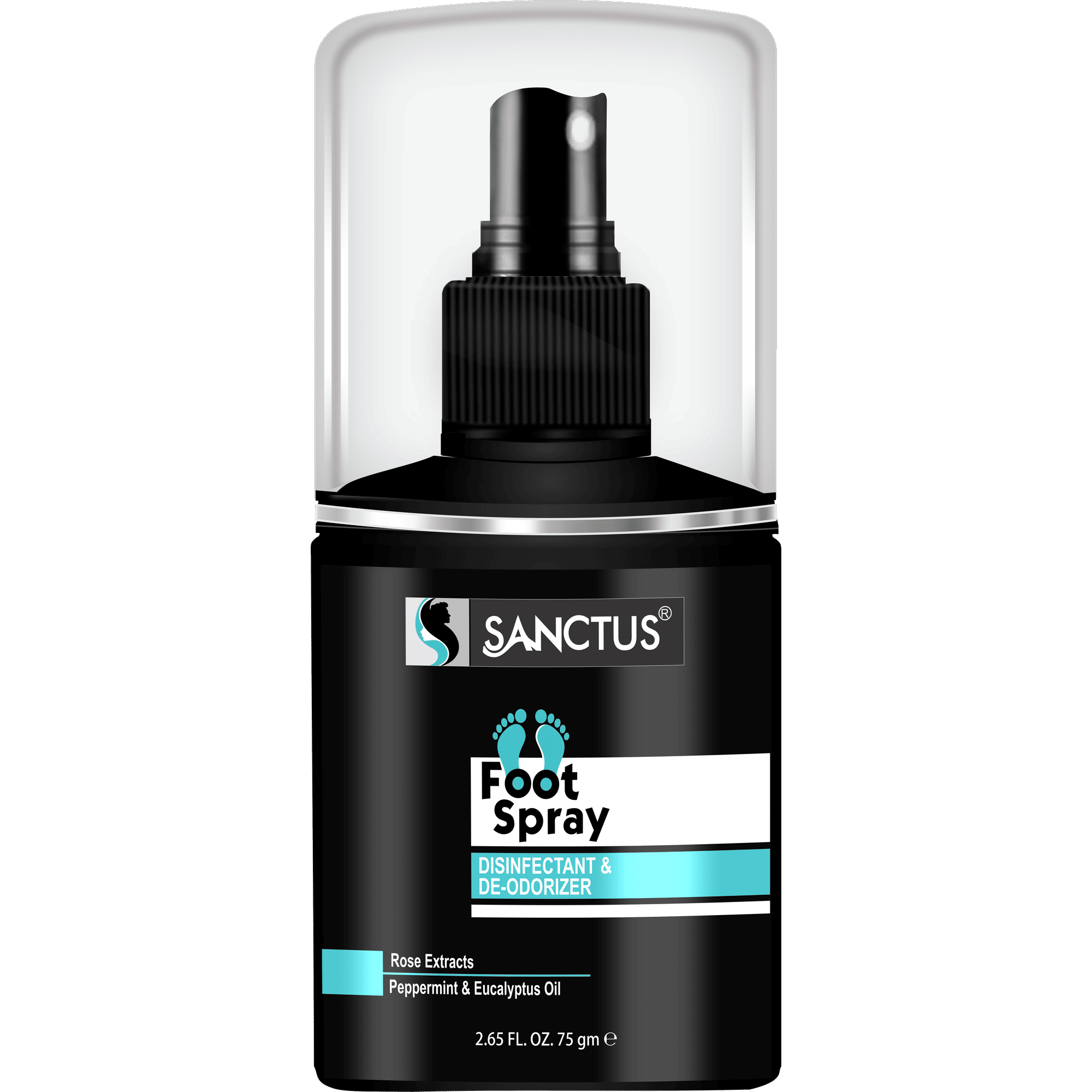 SANCTUS Disinfectant & Deodorizer Foot Spray