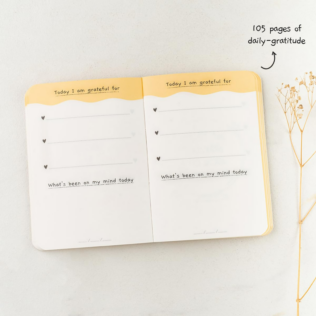 The Journal Lab Pocket Gratitude Journal Pocket Friendly For Men & Women - Distacart