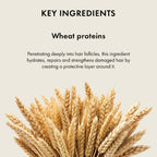 Naturica Volumizing Experience Conditioner for Fine Hair, Restore Softness with Wheat Germ Protein