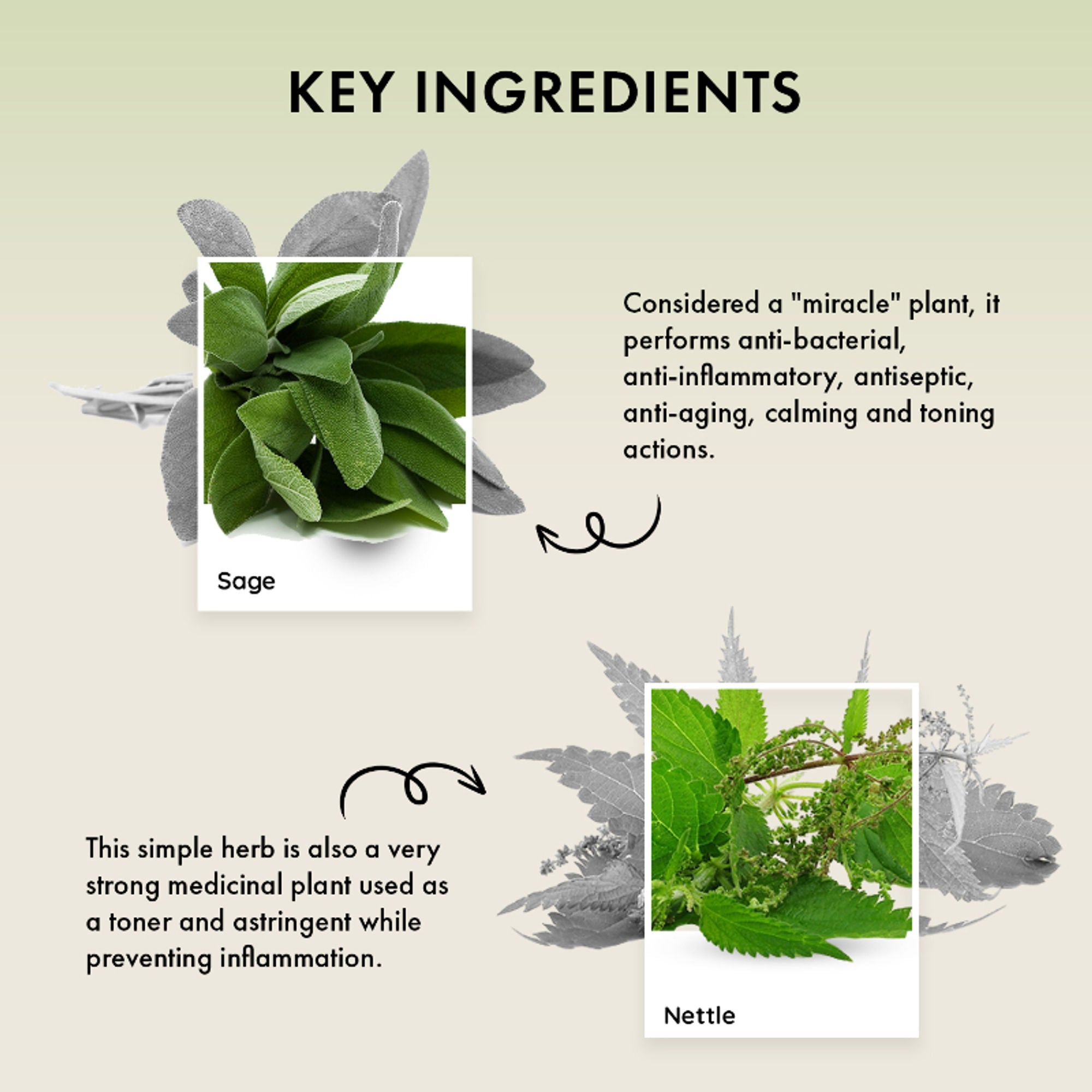 Naturica Balancing Remedy Shampoo for Sensitive Scalp, Regulate Oil with Sage & Nettle Extract