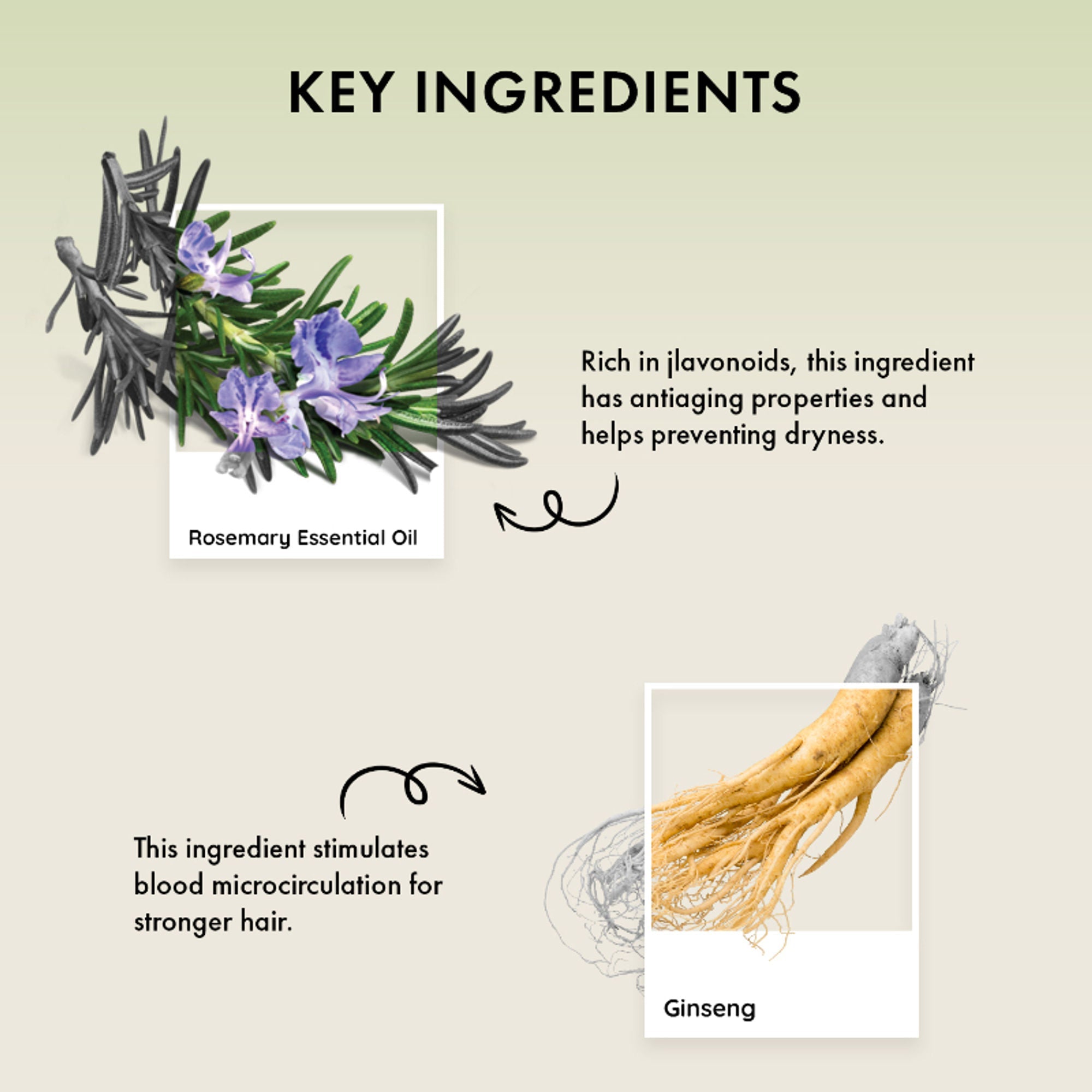 Naturica Energizing Miracle Shampoo for Thin Hair, Strengthen with Rosemary Oil & Ginseng Extract