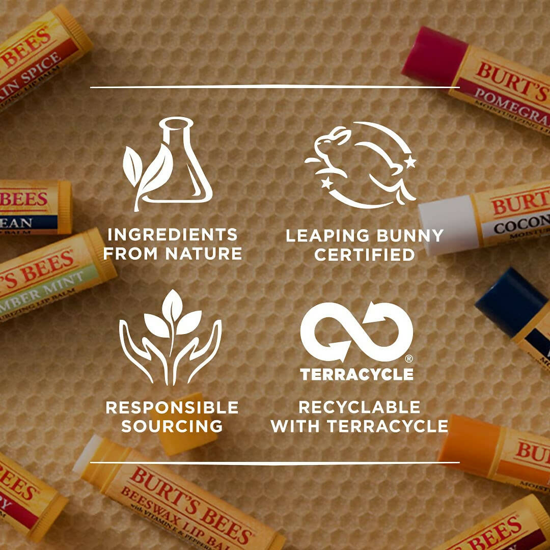 Burt's Bees Beeswax Lip Balm With Vitamin E & Peppermint - Distacart