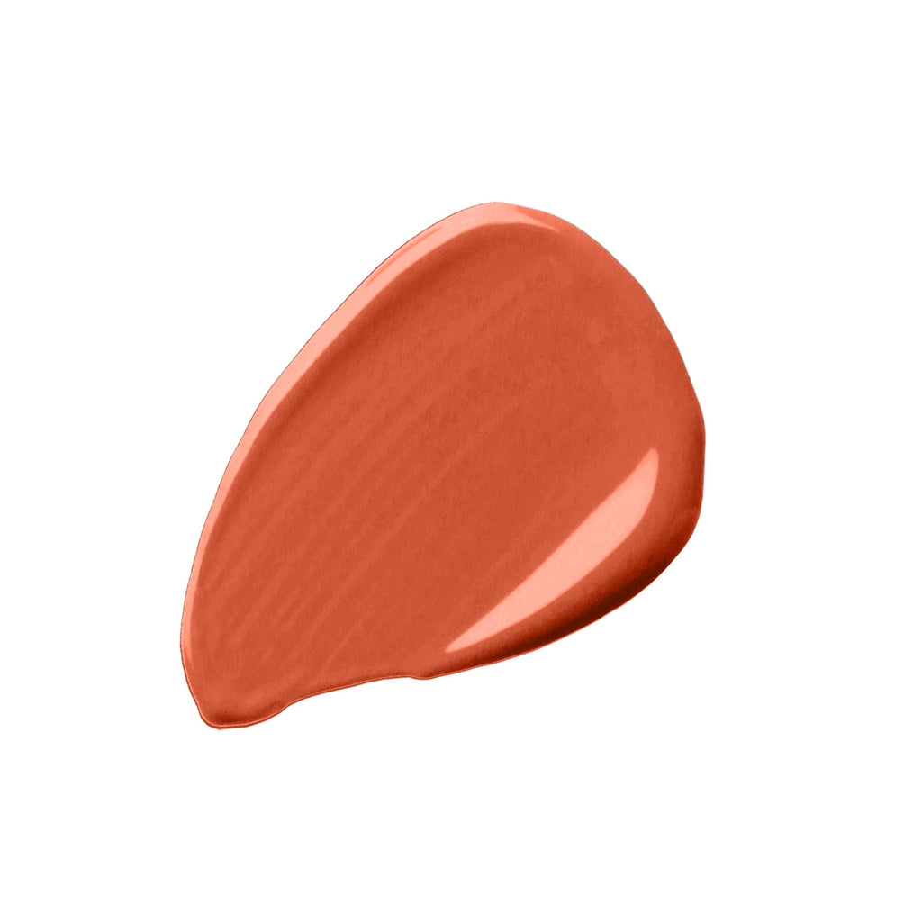 Swiss Beauty Cover & Hide Concealer - 10 Orange Corrector - Distacart