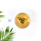 Chai Spa Women PCOD Tea - Distacart
