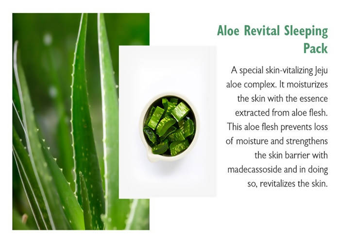 Innisfree Aloe Revital Sleeping Pack