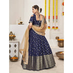 DEIANA'S Beautiful Jackquard Weaving Lehengha Choli - Blue