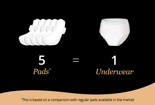 Carmesi Disposable Period Panties