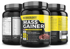Nutracology Mass Gainer Gain Weight High Protein Weight Gainer With Enzyme Blend