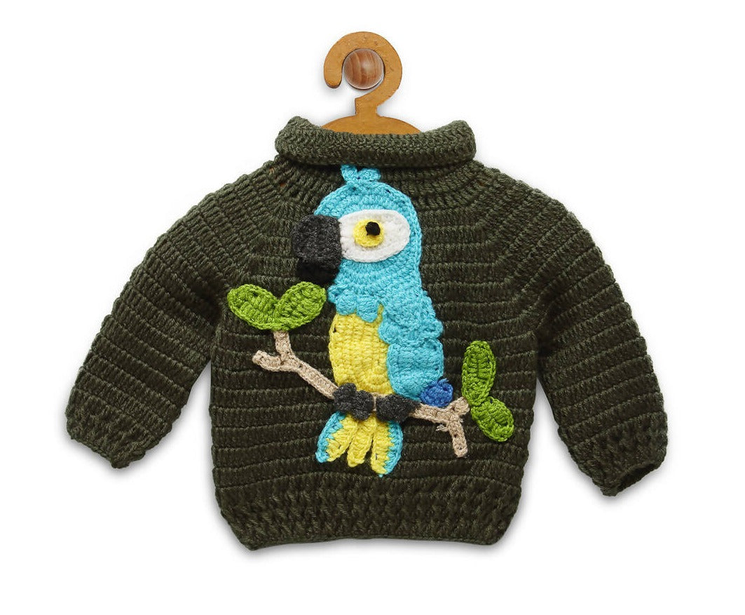 Chutput Kids Green Parrot Design Solid Pullover Sweater