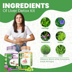 Divya Shree Liver Detox & Milk Thistle Capsule Combo - Distacart