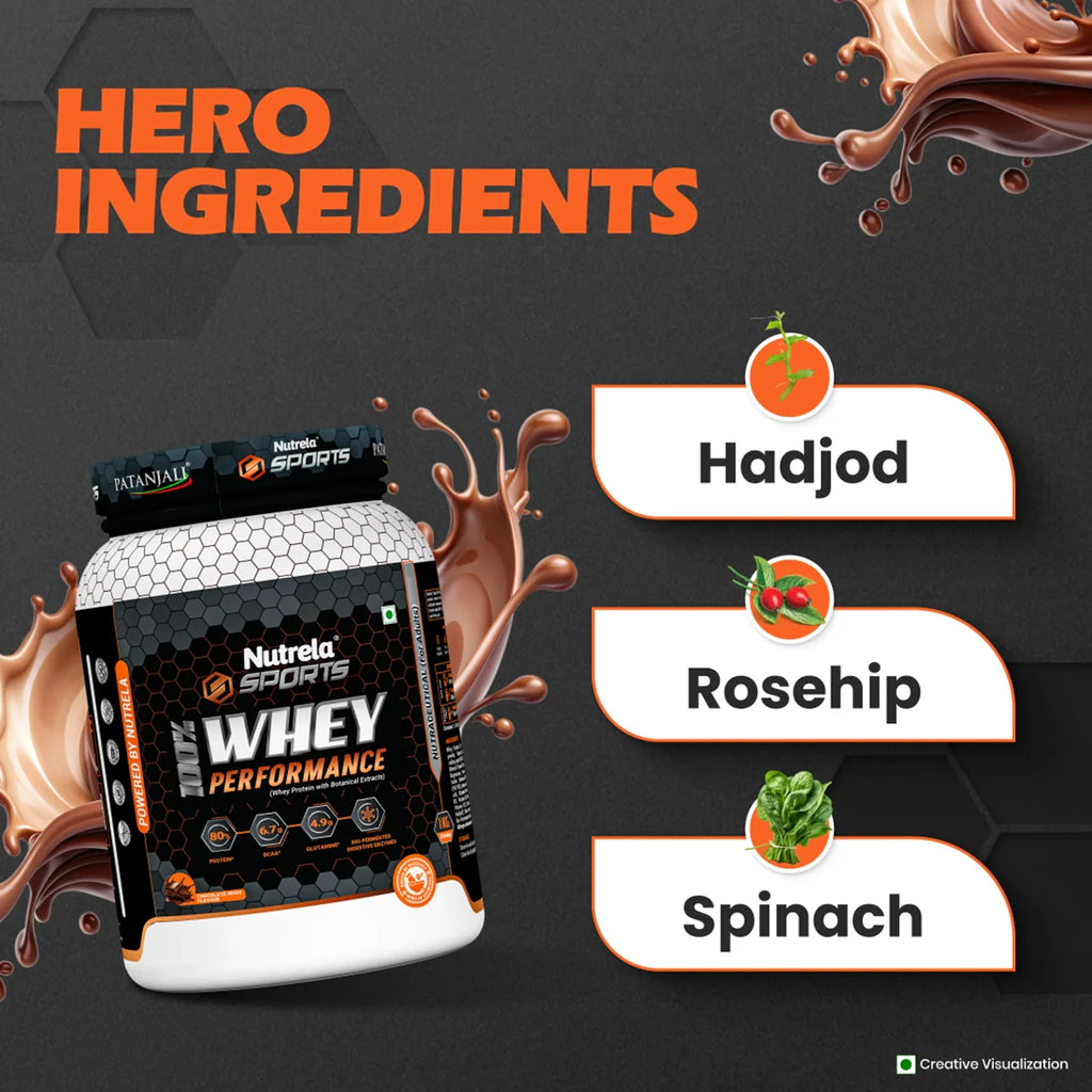 Patanjali Nutrela Sports Whey Performance (Choc-irish) - Distacart