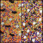 confect halloween sprinkles multipack 2 100 gms copy