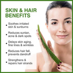 She Essentials Aloe Vera Gel With Pure Aloe Vera & Cucumber Extract For Skin & Hair