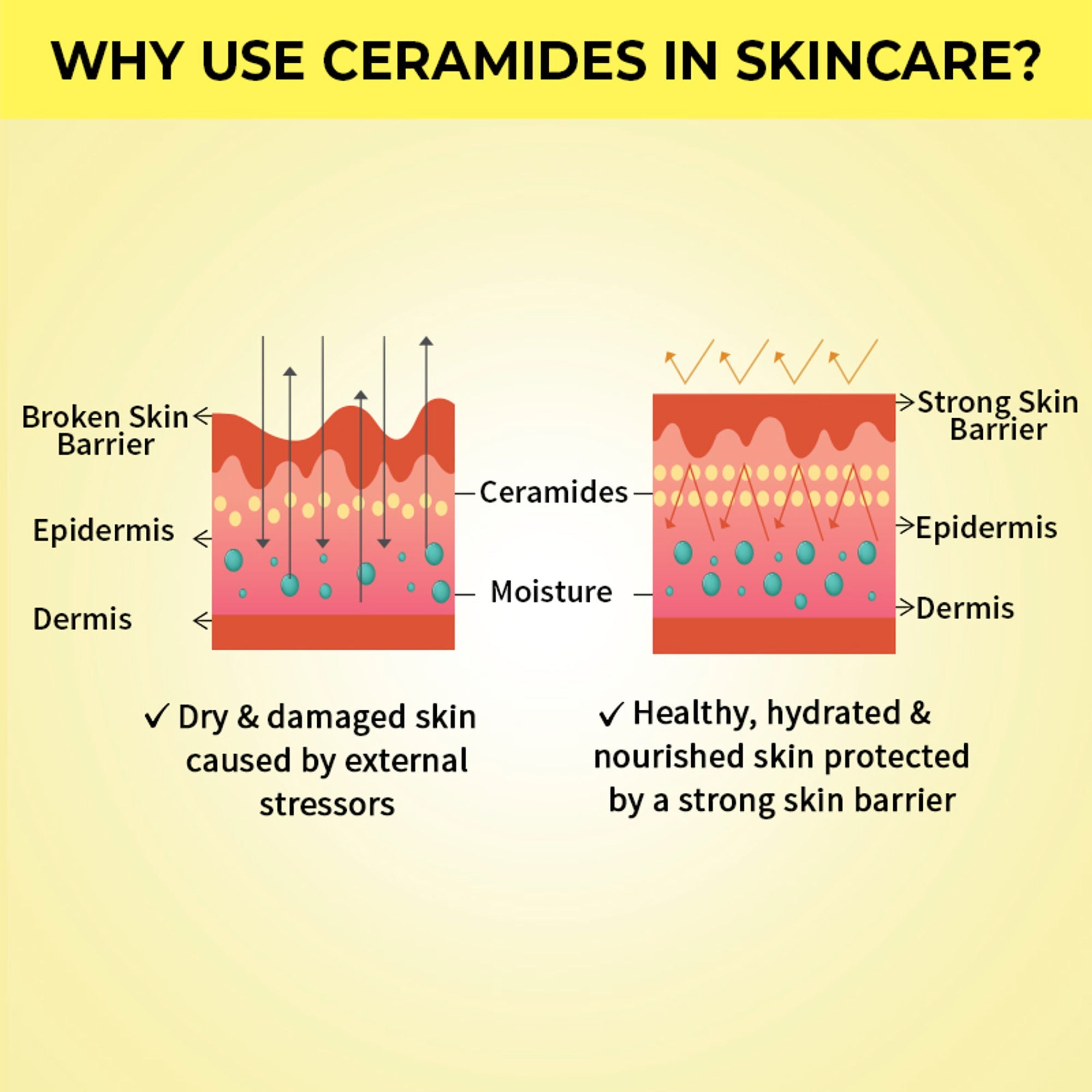 Nykaa SkinRX Ceramide Barrier Repair Face Moisturizer with SPF 15- All Skin Types