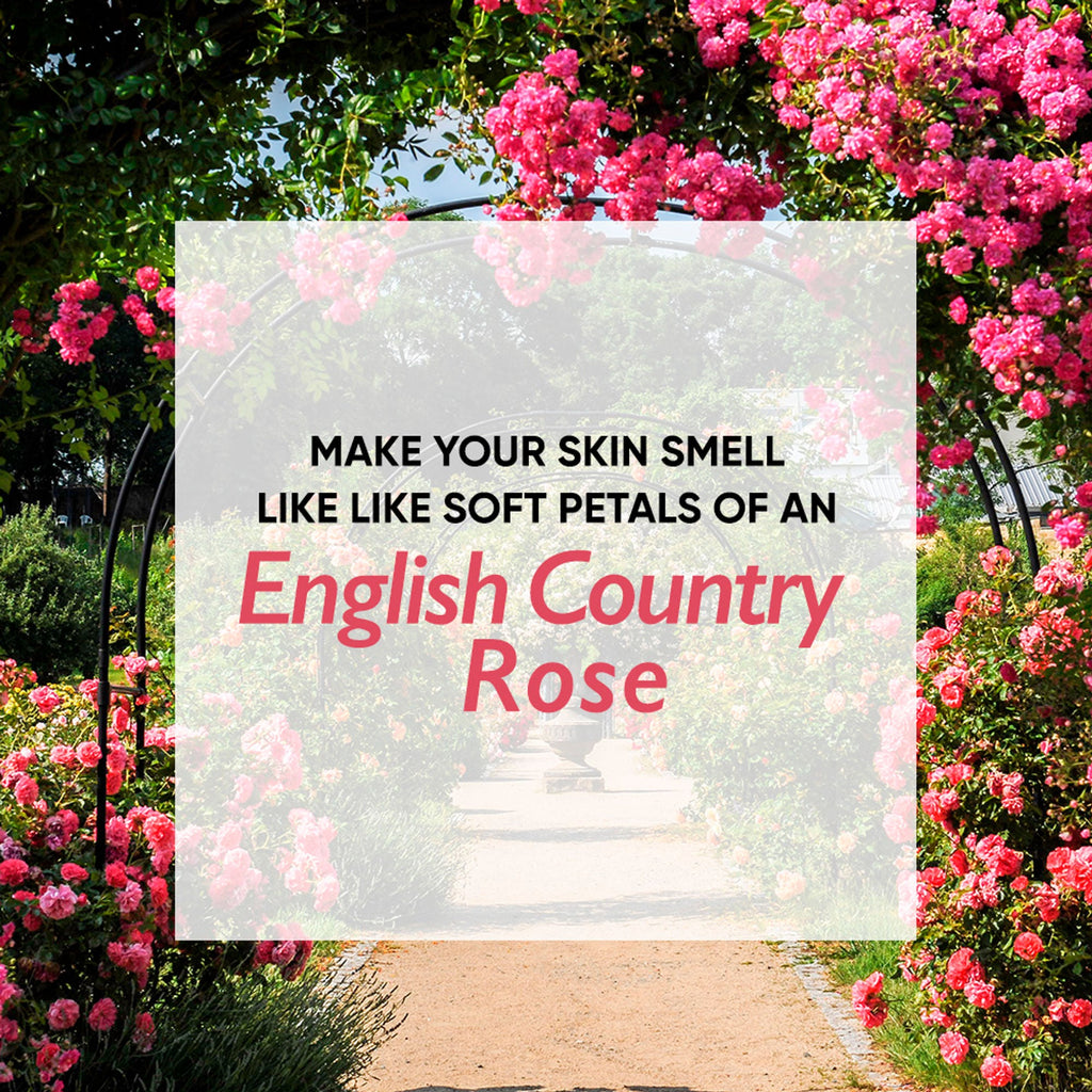 Wanderlust Moisturizing Body Lotion - Country Rose