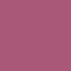 Shopaarel Silky Matte Gloss Liquid Lipstick - Rich-09