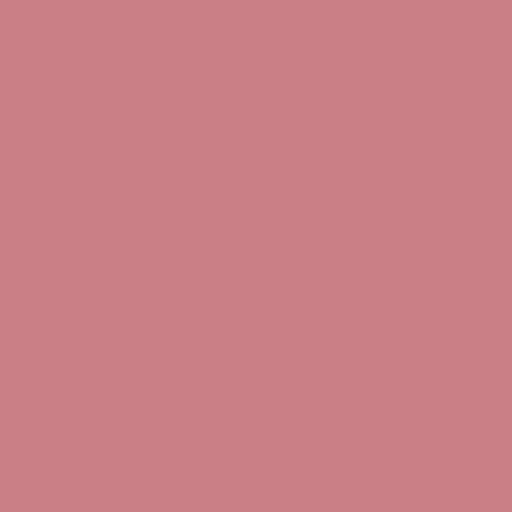 Shopaarel Silky Matte Gloss Liquid Lipstick - Charming-10