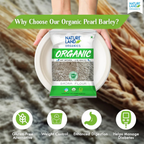 Nature Land Organics Bajra Whole