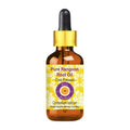 Deve Herbes Pure Rangoon Root Oil