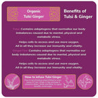 24 Mantra Organic Tulsi Ginger Tea Powder - Distacart