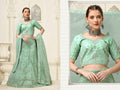 Light Green Net Fancy Zari Embroidered work Lehenga Choli with Dupatta - Heer