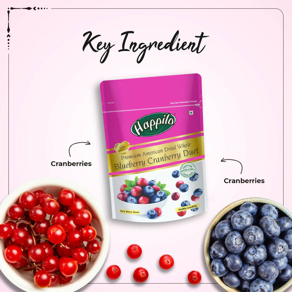 Happilo Premium Dried Blueberry Cranberry Duet