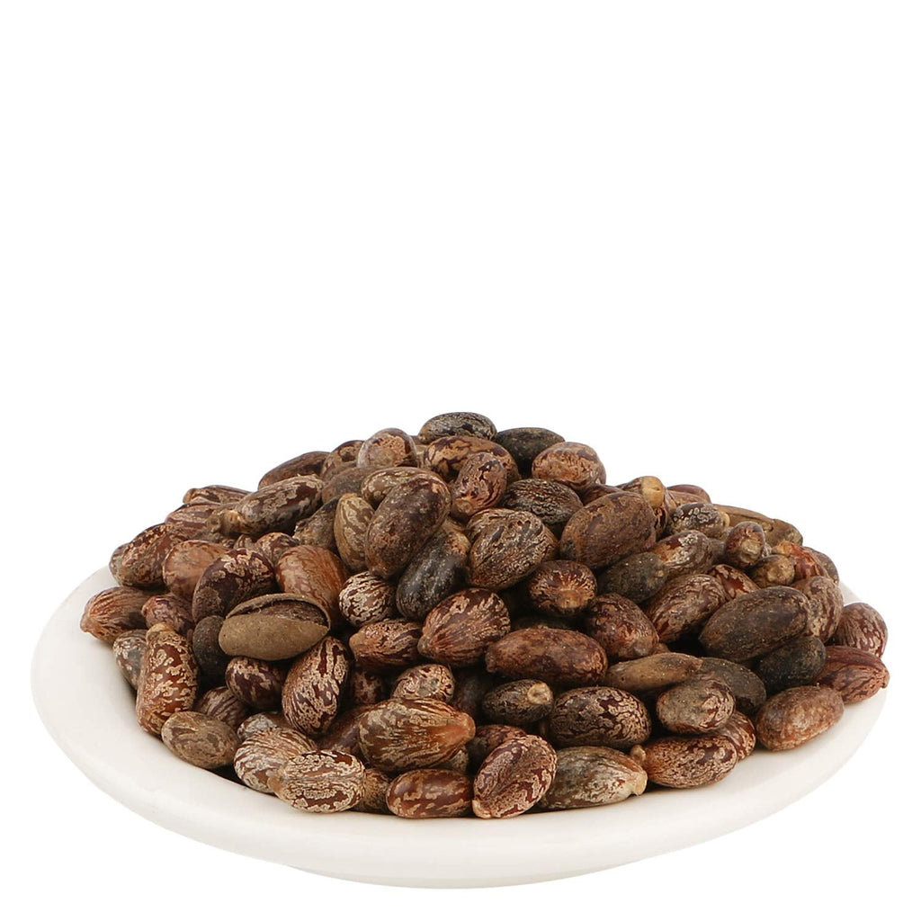 Yuvika Beej Arandi - Ricinus Communis Linn - Castor Seeds - Distacart