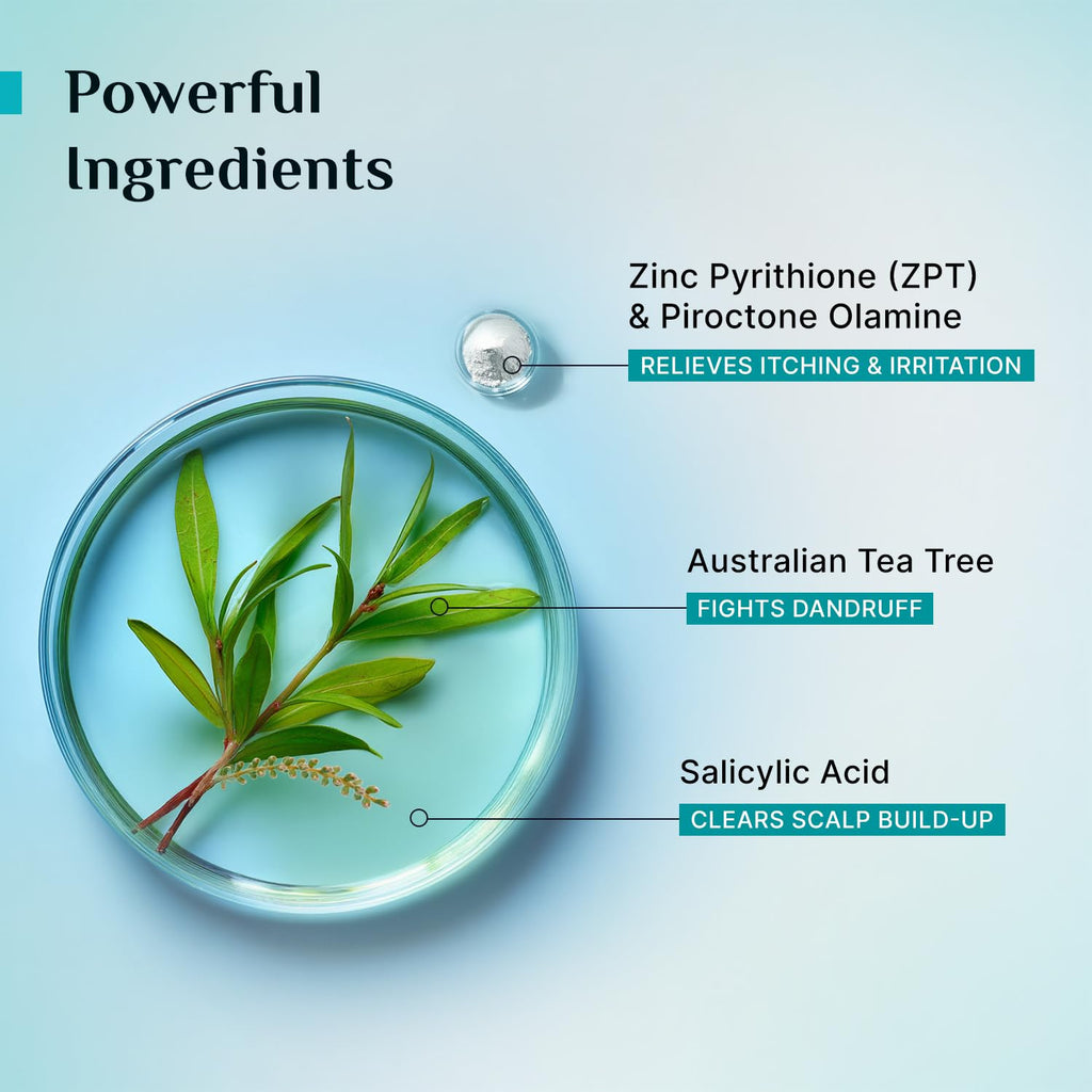 Pilgrim Australian Tea Tree Non-Drying Anti-Dandruff Shampoo - Distacart