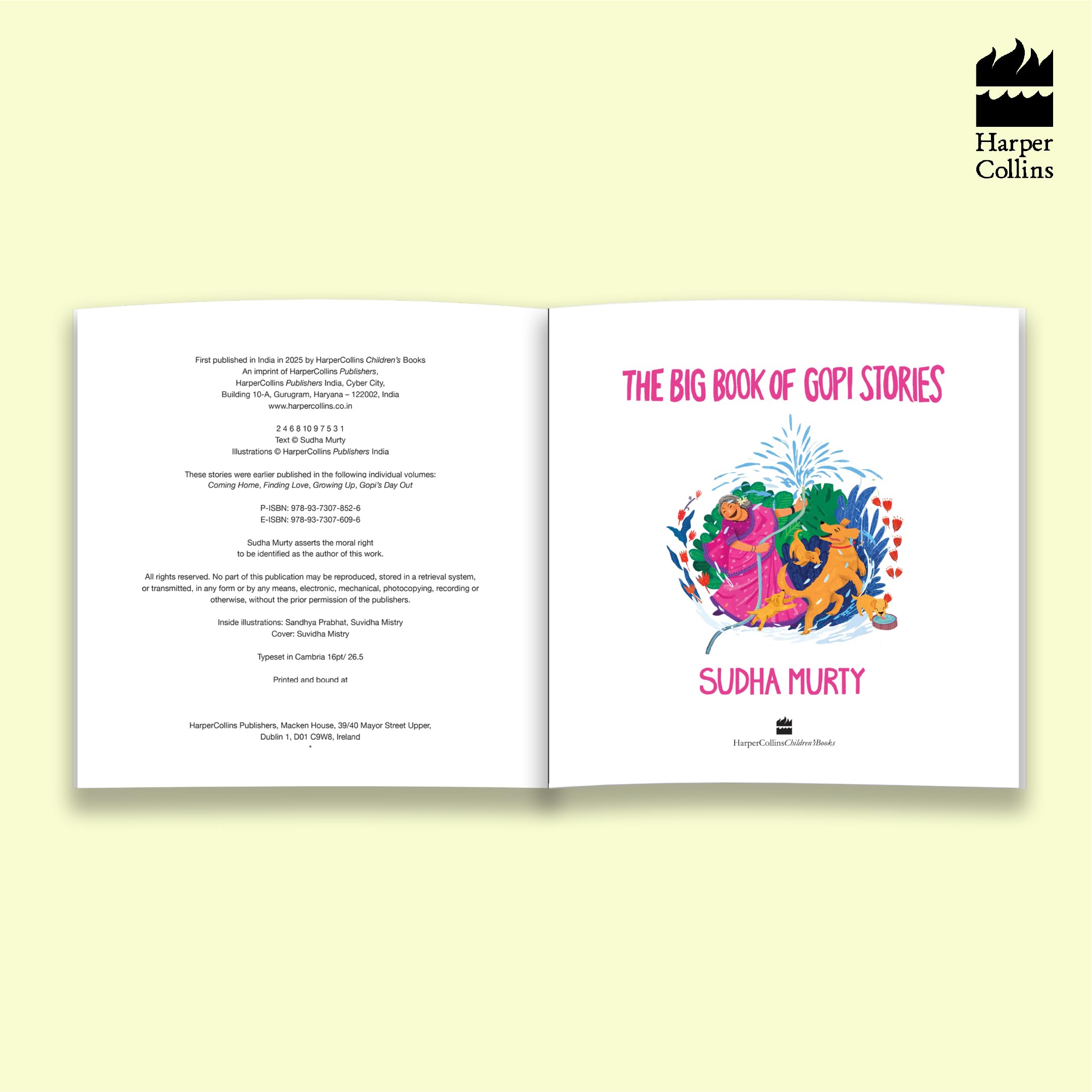 The Big Book Of Gopi Stories: The Gopi Diaries